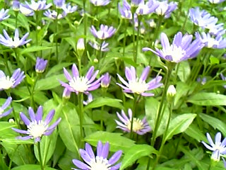 Image002.jpg