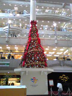 Image7111b.jpg