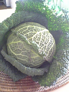 Image1346.jpg