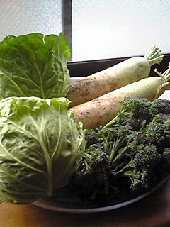 Image1406.jpg