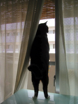 Image1533.jpg