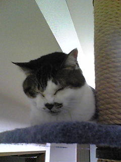 Image1538.jpg