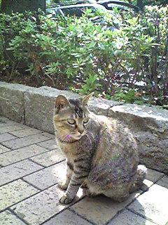 Image1960.jpg