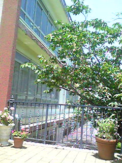 Image1991.jpg