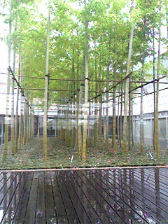 Image2035.jpg