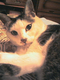 200707142219000.jpg