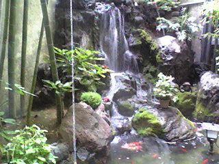 Image2150.jpg