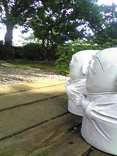 Image1969.jpg