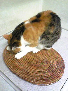 Image2236.jpg