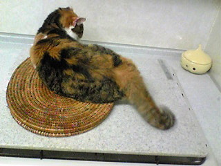 Image2239.jpg
