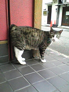 Image043.jpg