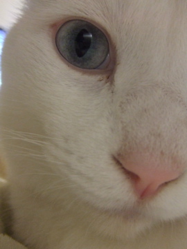 DSCF5084.jpg