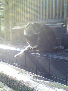 Image2089.jpg