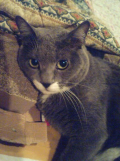 080221_2021~01.jpg