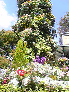 Image2509.jpg
