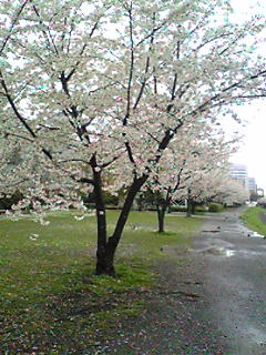 Image2544.jpg