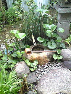 Image996.jpg