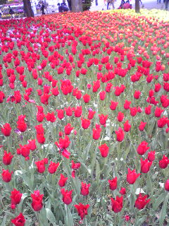 Image048.jpg