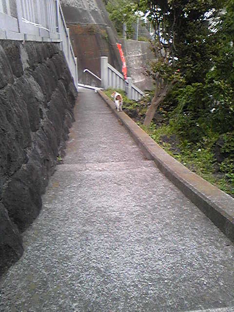 https://yokohama3.up.seesaa.net/image/yokohama3-2008-05-08T18_14_02-3.jpg