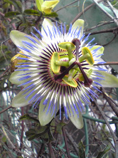 Image408.jpg