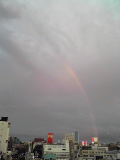 Image1881.jpg