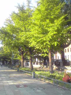 Image0061.jpg