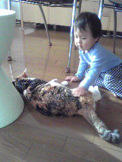 Image33011.jpg
