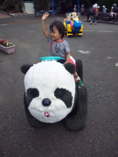 SH3G02660001.jpg