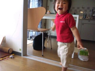 SH3G025500010001.jpg