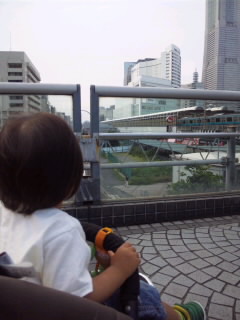 SH3G03040001.jpg