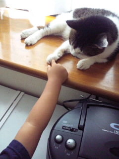 SH3G03620001.jpg