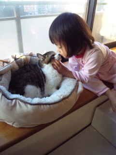 SH3G02760001.jpg