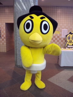 SH3G08380001.jpg