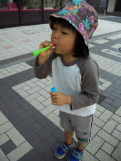 SH3G07340001.jpg