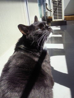 201205141352000.jpg