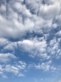 IMG_7742.jpg