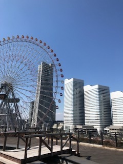 IMG_7950.jpg