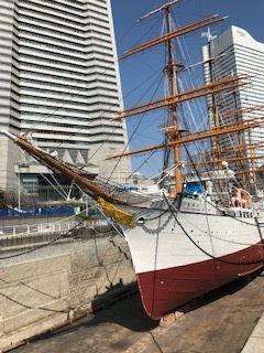 IMG_7991.jpg