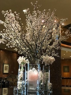 IMG_8055.jpg