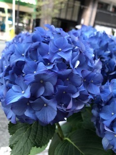 IMG_8670.jpg