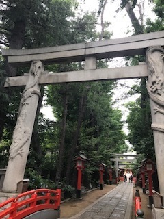 IMG_8706.jpg