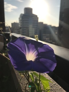 IMG_9057.jpg