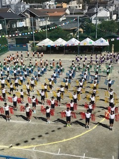 IMG_9450.jpg