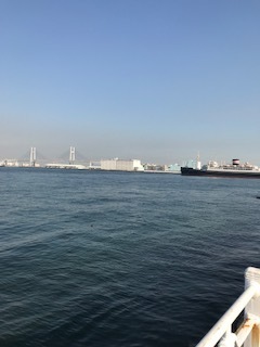 IMG_9573.jpg