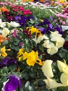 IMG_0348.jpg