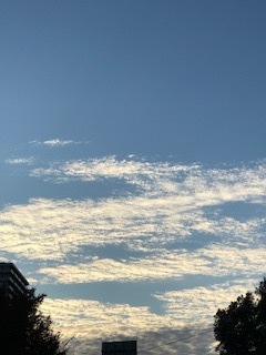 IMG_1228.jpg